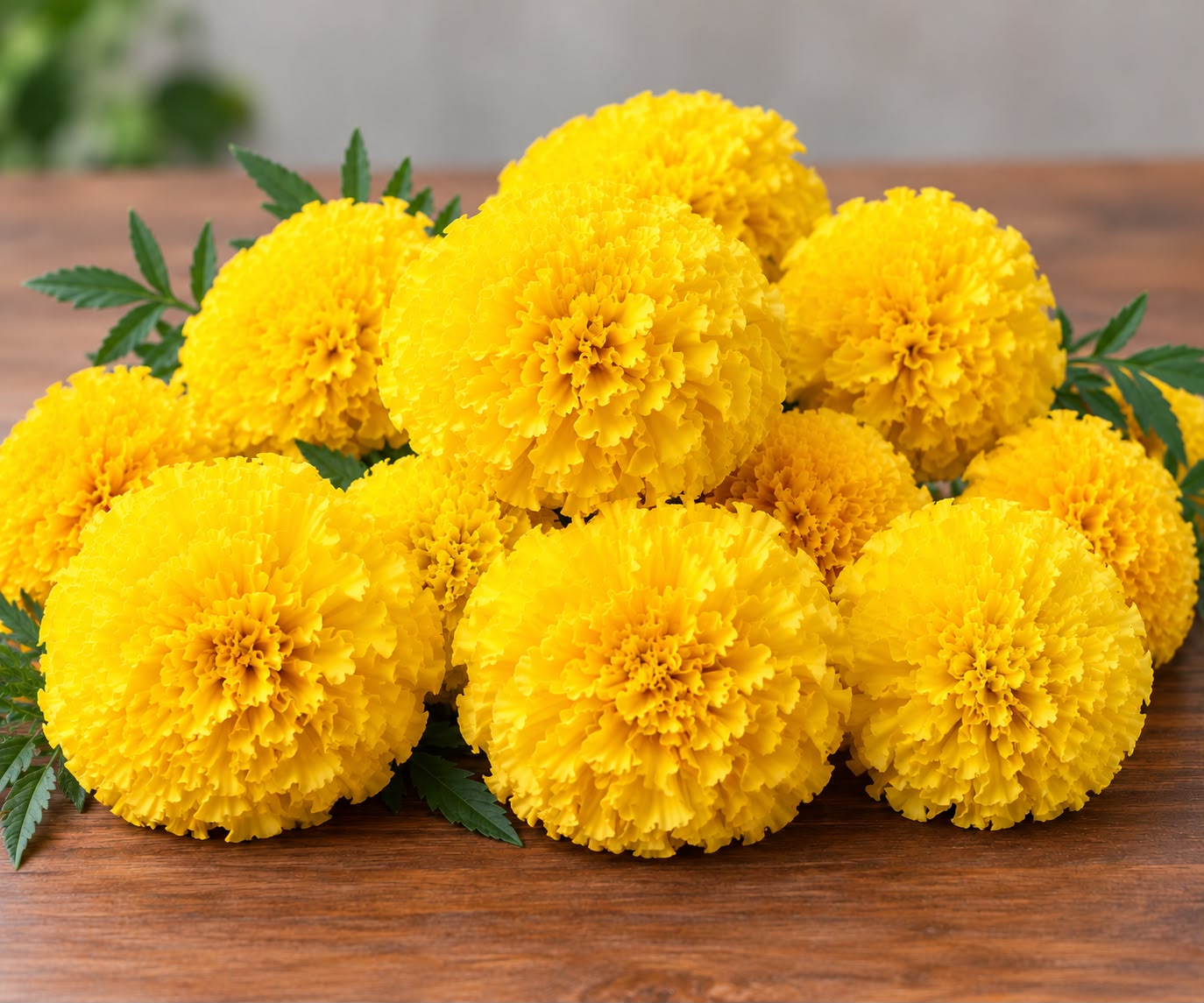 Yellow marigolds