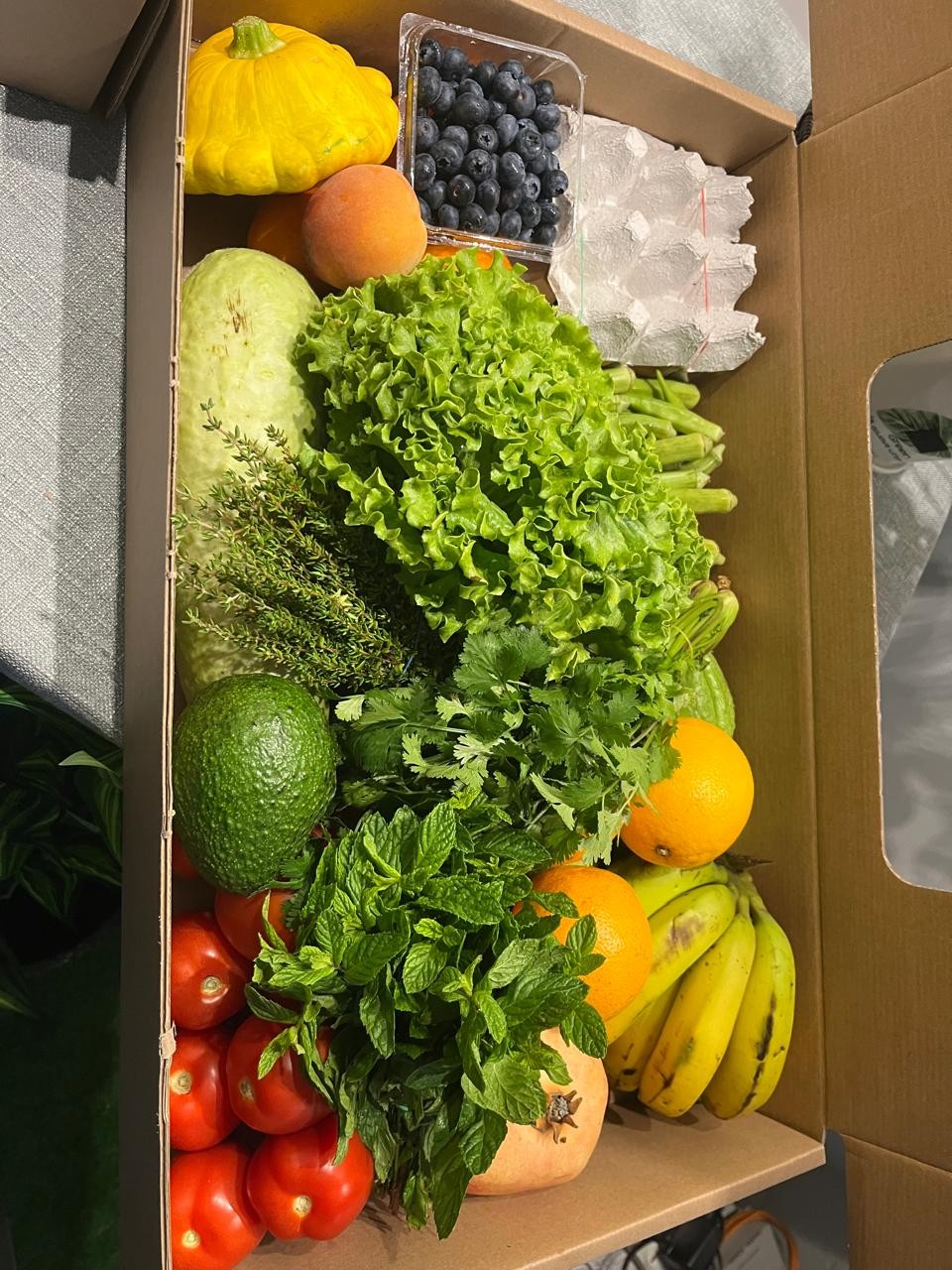 TropiFresh packed order 4