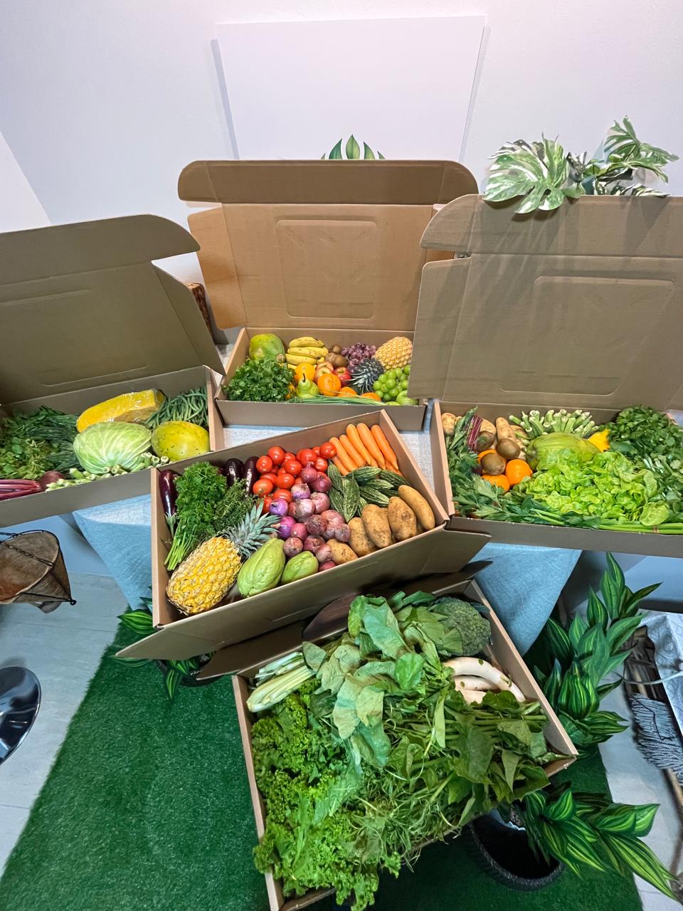 TropiFresh packed order 9