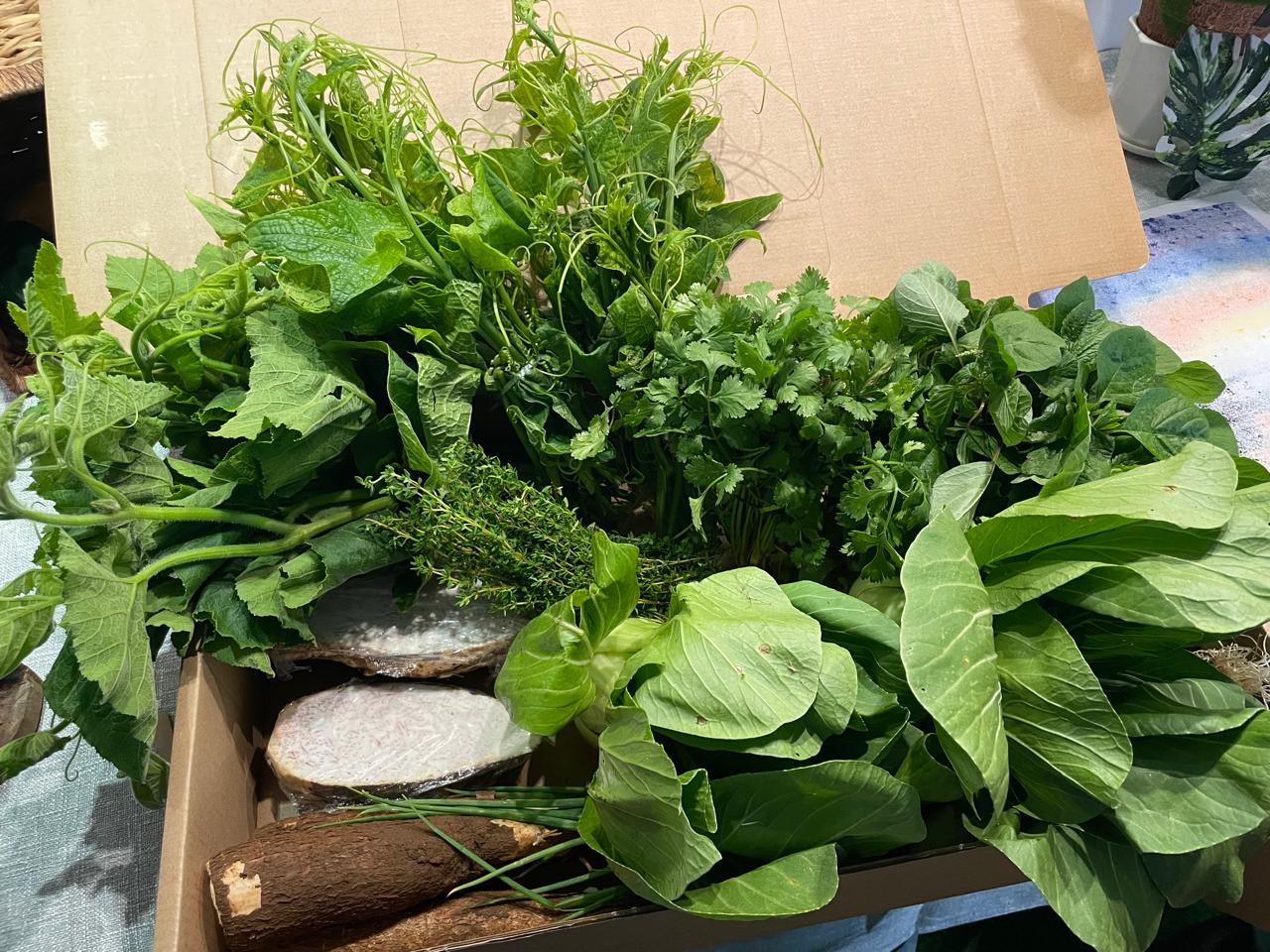 TropiFresh packed order 18
