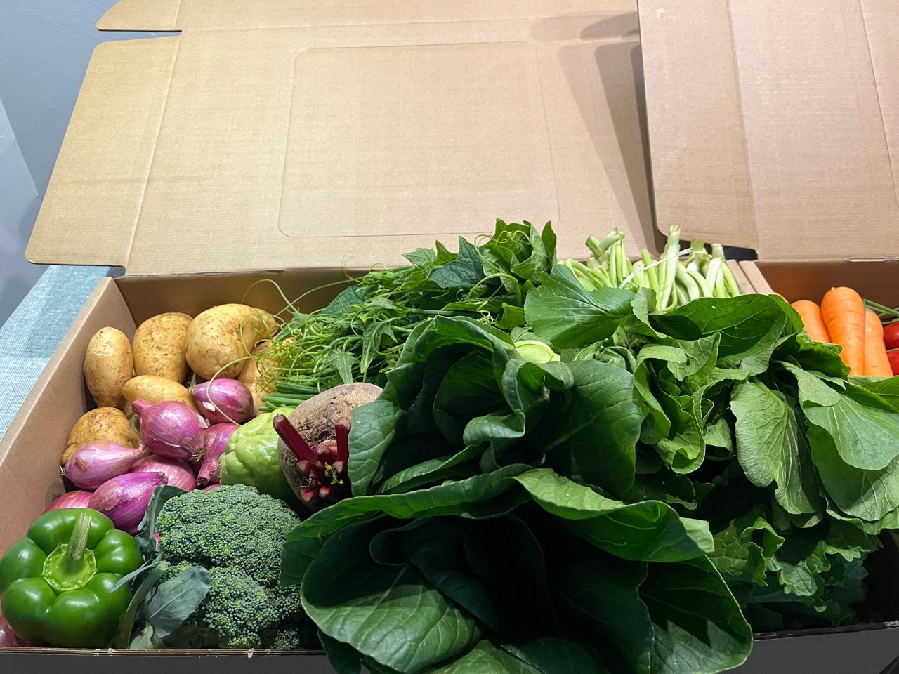 TropiFresh packed order 14
