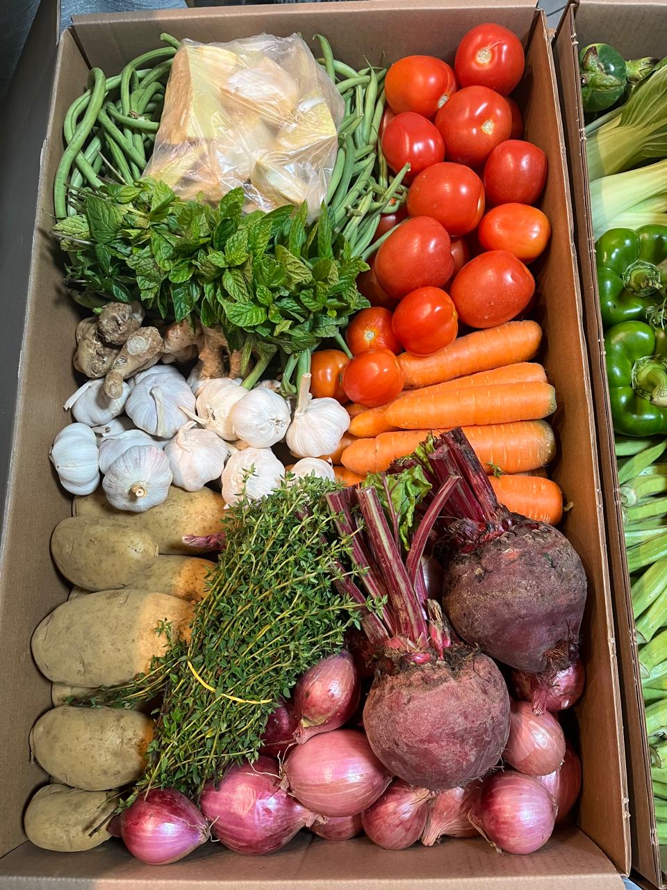 TropiFresh packed order 15